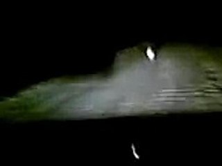 заяц показывает дорогу на Саратов