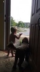 Babasının Eve Gelişini Görünce Heyecandan Çıldıran Minik Ufaklık ve Sevimli Köpeği