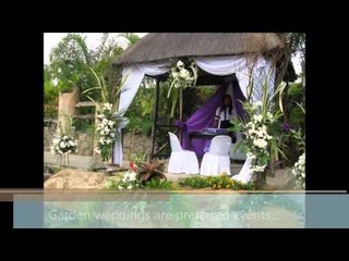 A green haven rises from a barren field