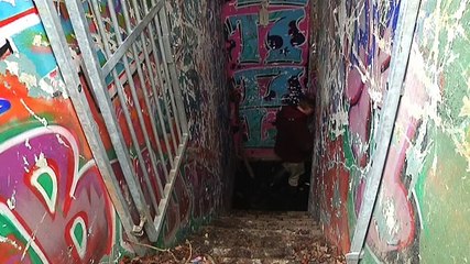 Ga je mee op bezoek bij creepy acrobaten, die in spleetjes leven? - RTV Noord