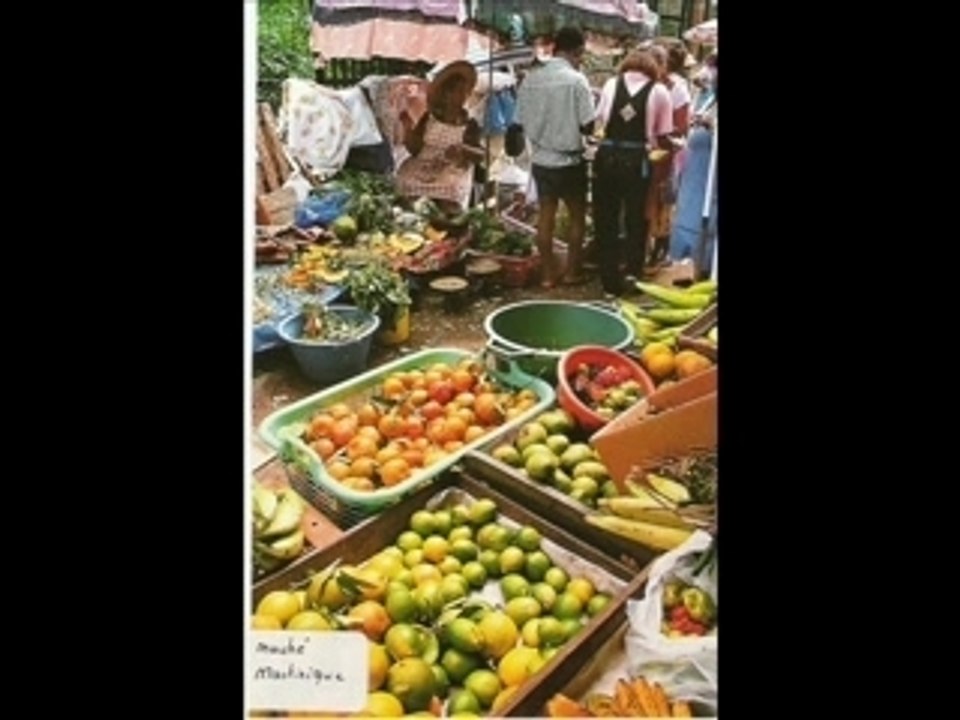 Martinique 2005
