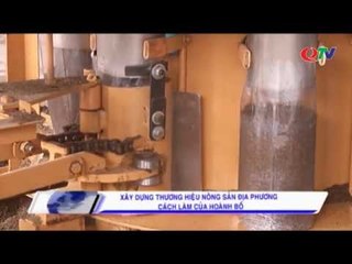 Làm thương hiệu cho nông sản Hoành Bồ | QTV