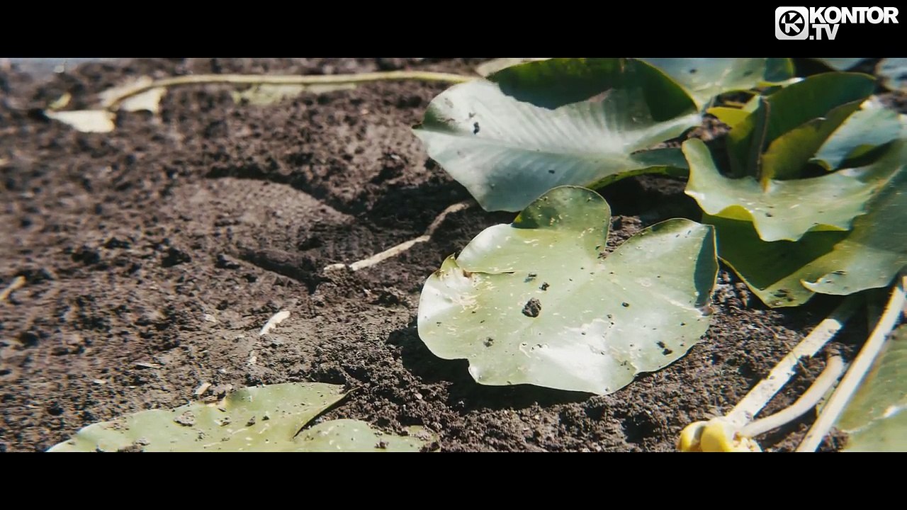 Clément Bcx - Miracle In The Middle Of My Heart (Official Video 4K)