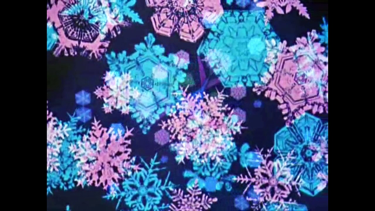 Donald Duck im Land der Mathemagie (2/2) [Donald in Mathmagic Land]