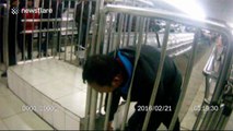 Man runs into fence in train station, gets head stuck