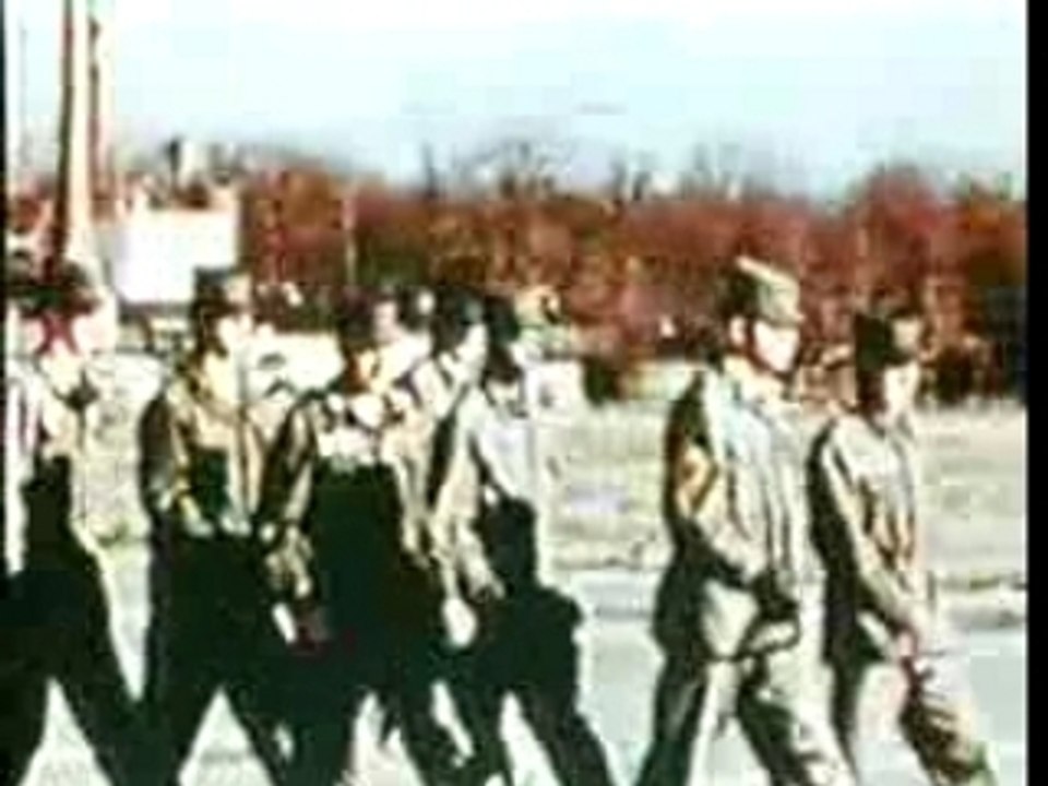 Drugs - LSD - US Experiments