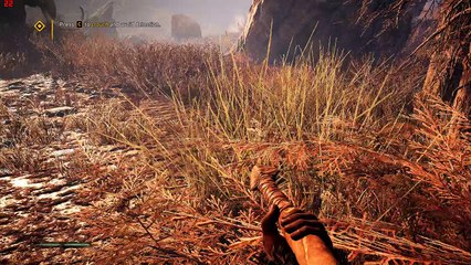 Far Cry Primal GTS 450 900p gameplay