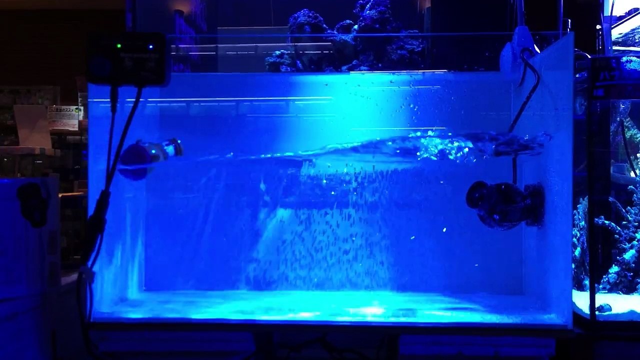 フォルス／ウェーブメーカーＷＭＰ８０００