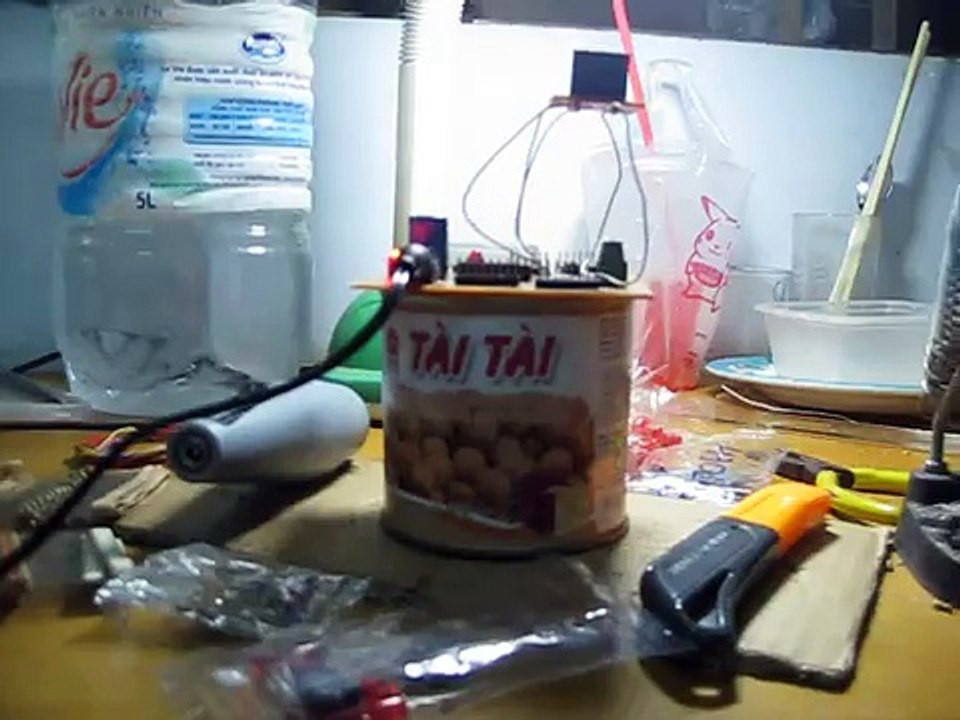 Đội Khủng Long Nhỏ