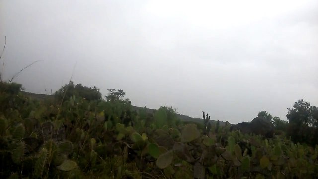 Relampagos y Truenos