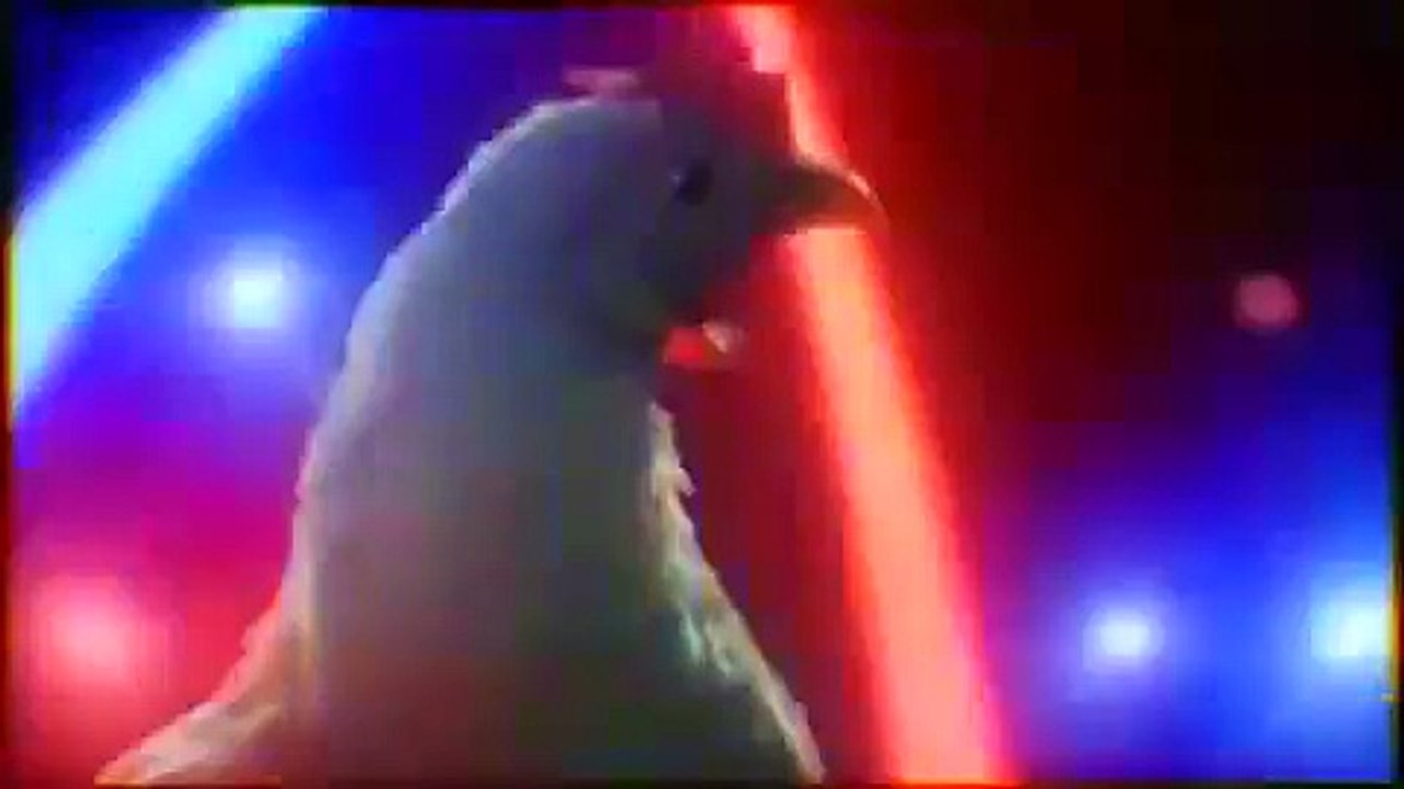 Kopie videa Slepičí techno