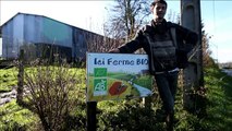 En pleine crise du lait, la sérénité d'un producteur bio