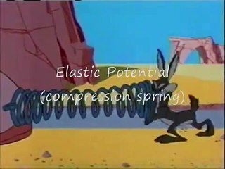 Potential Energy: Wile E Coyote & Roadrunner