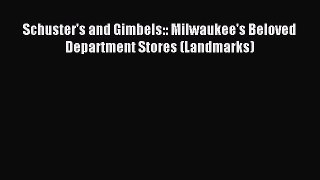 Download Schuster's and Gimbels:: Milwaukee's Beloved Department Stores (Landmarks) Ebook Free