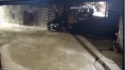 Ahırdan Çalınan İnek Güvenlik Kamerasında