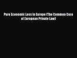 Download Pure Economic Loss in Europe (The Common Core of European Private Law) Ebook Online