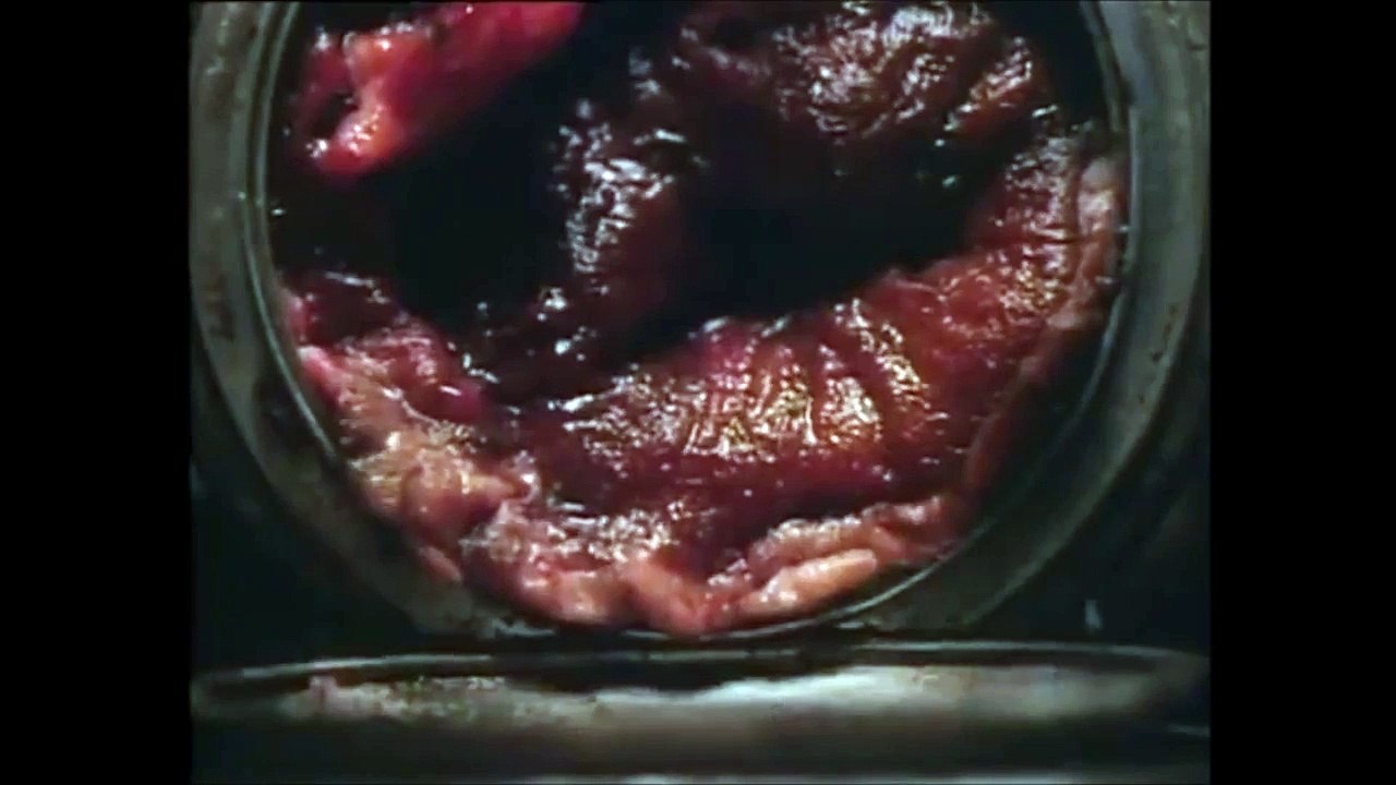 Otep - Buried Alive [Un Official Music Video] [Brothers Quay]