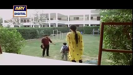 Naraaz - Episode 17 – 1st March 2016 - Ary Digital