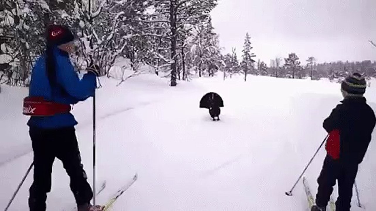 ПРОСТО КАПЕЦ!! пОНАЕХАЛИ
