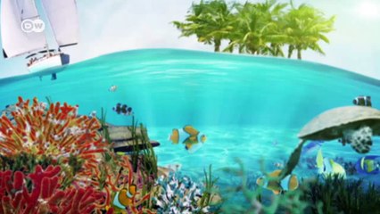 India's sea turtle village | Global 3000