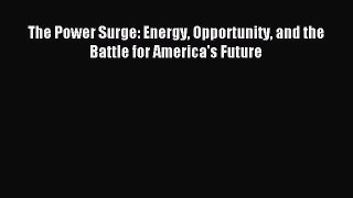 Read The Power Surge: Energy Opportunity and the Battle for America's Future PDF Online