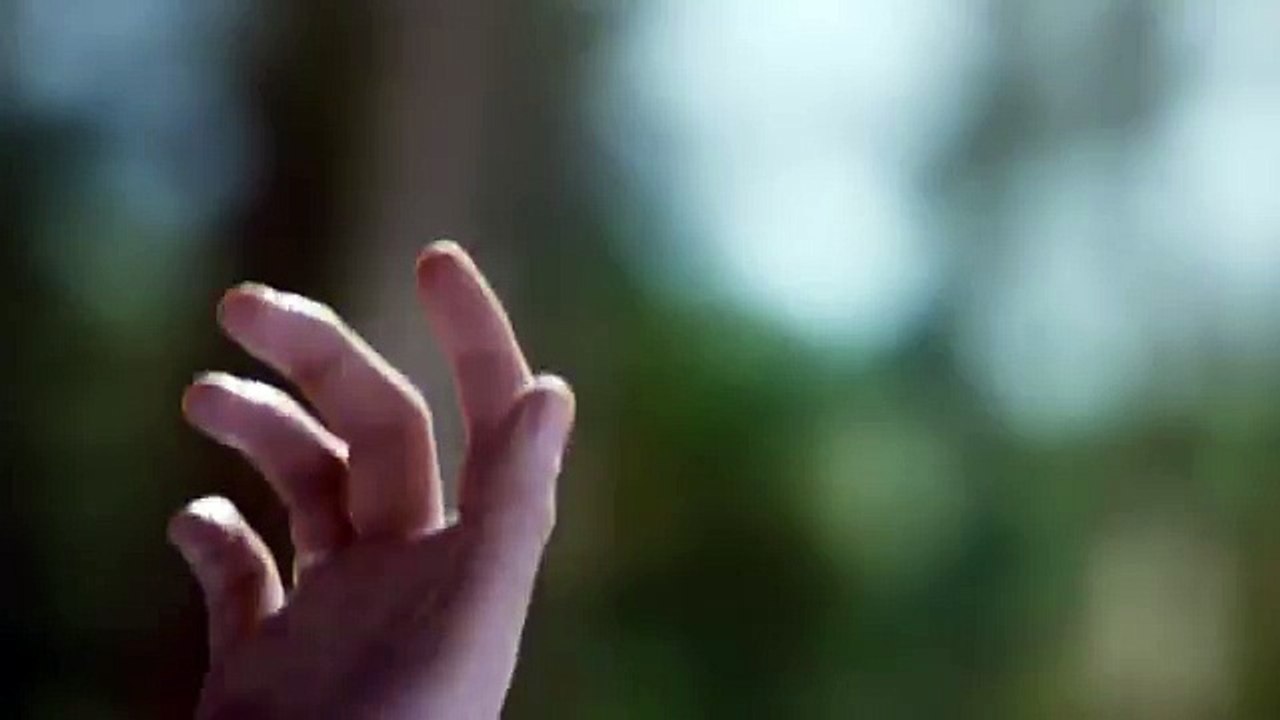 Saga Zmierzch: Przed świtem. Część 2 oficjalny zwiastun