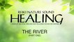 iReiki - Reiki Healing - 1Hour of Natural Healing and Relaxing Sound Recording