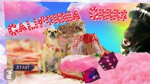 Katy Perry - California Gurls (ft Snoop Dog) - Katy Puppy - California Grrrs / Wide Awoof - Petody