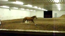 Forever In Blue Jeans: Lunging Aug, 2008