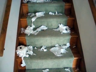 Little Guy's big mess