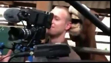 Лошадь Целует в Ушко - Horse Kisses in your Ear - Лучший Прикол 2015 - The Best Joke 2015