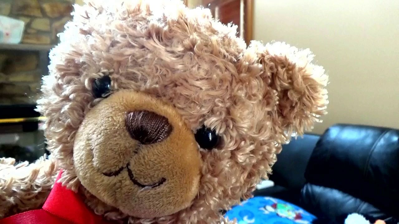 Teddy Bear's Party