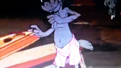 Волк из Ну погоди и Баба яга.