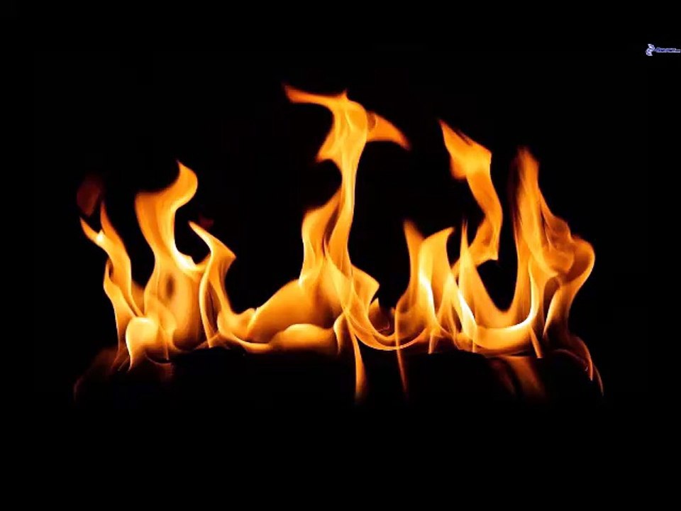 Vive le Feu - BxN