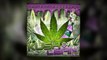 [DJ 837] SPM - I Must Be High [Chopped & Screwed]