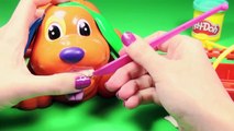 Play-Doh Doggy Doctor Puppy Playset Play Doctor with Puppies Play Dough by Unboxingsurpris