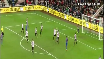 All GOals & Highlights - Sunderland 2-2 Crystal Palace - 01_3_2016 [Premier Leag