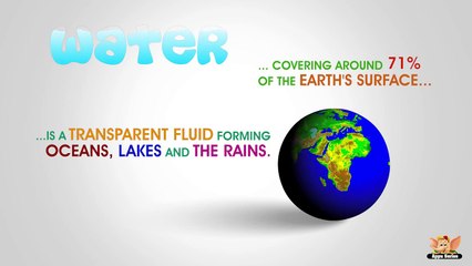 Why Water Is Essential for Life 🌊