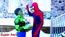 Spiderman vs Frozen Elsa Anna Hulk Joker Werewolf Maleficent in real life Fun Superhero Mo