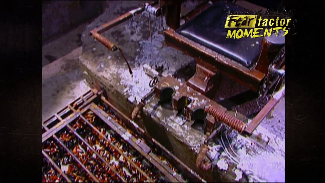 Fear Factor Moments | Roach Cage Escape