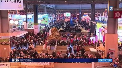 Crise des éleveurs : industriels et grande distribution dos à dos