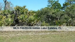902 Orchid Dr, Indian Lake Estates, FL 33855