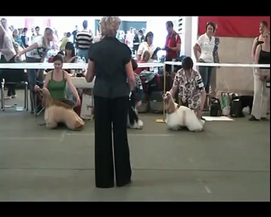 9cacib_males_WMV V9.wmv