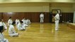 Los Secretos del Karate Goju Ryu