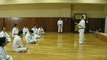 Los Secretos del Karate Goju Ryu