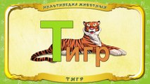 Мультипедия животных. Буква Т Тигр