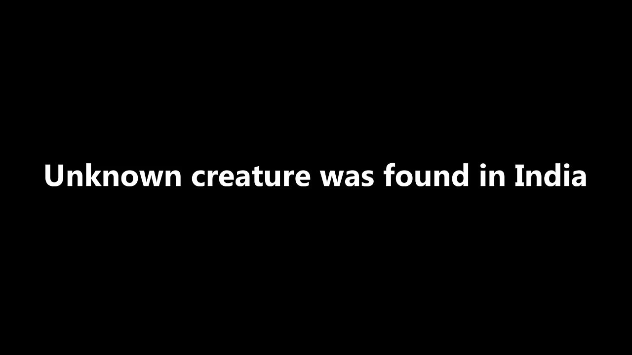 Unknown creature was found in India