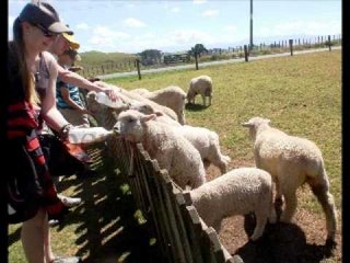 (Been) There and Back Again