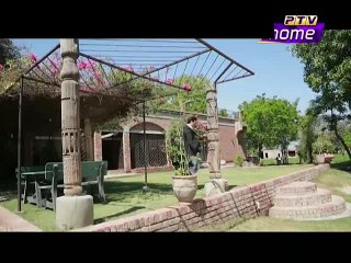 Zara Si Ghalat Fehmi Episode 21 on Ptv Home