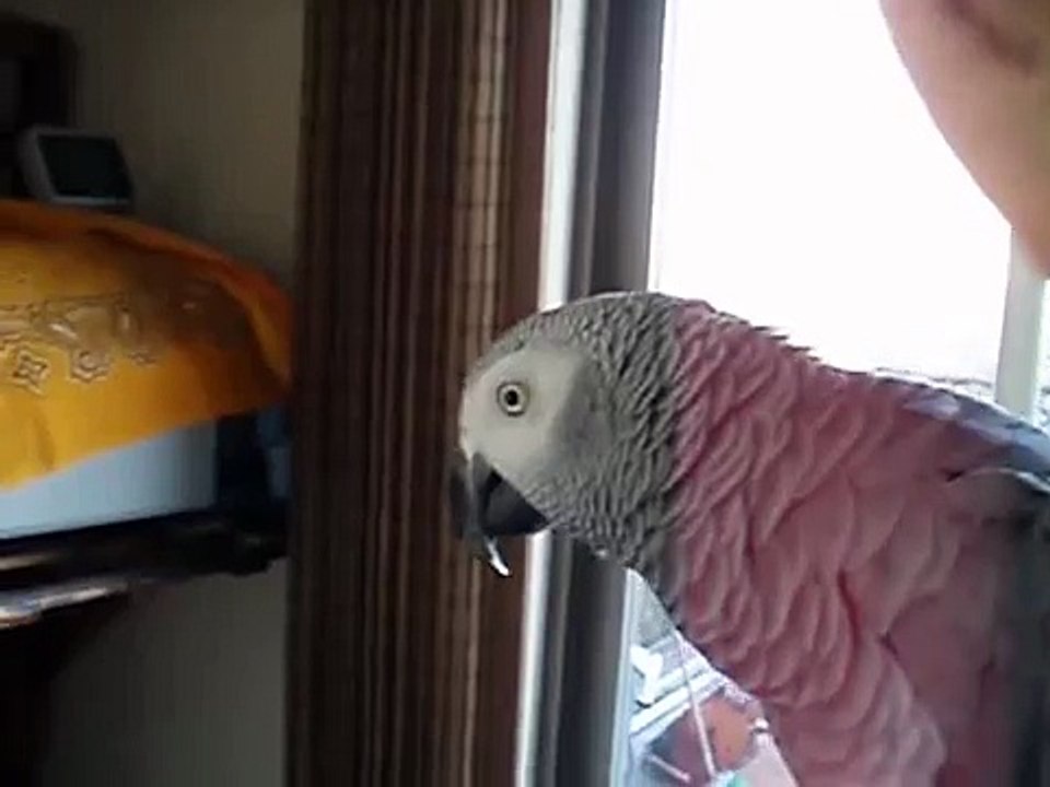 お名前で～す♪